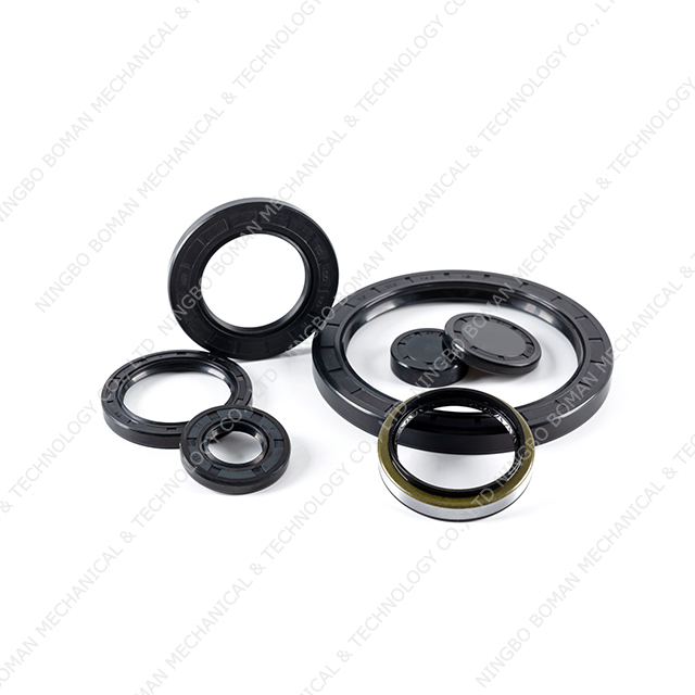 DIN3760 Type AS Oil Seal